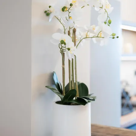 Smaro Terrablue 아파트 *